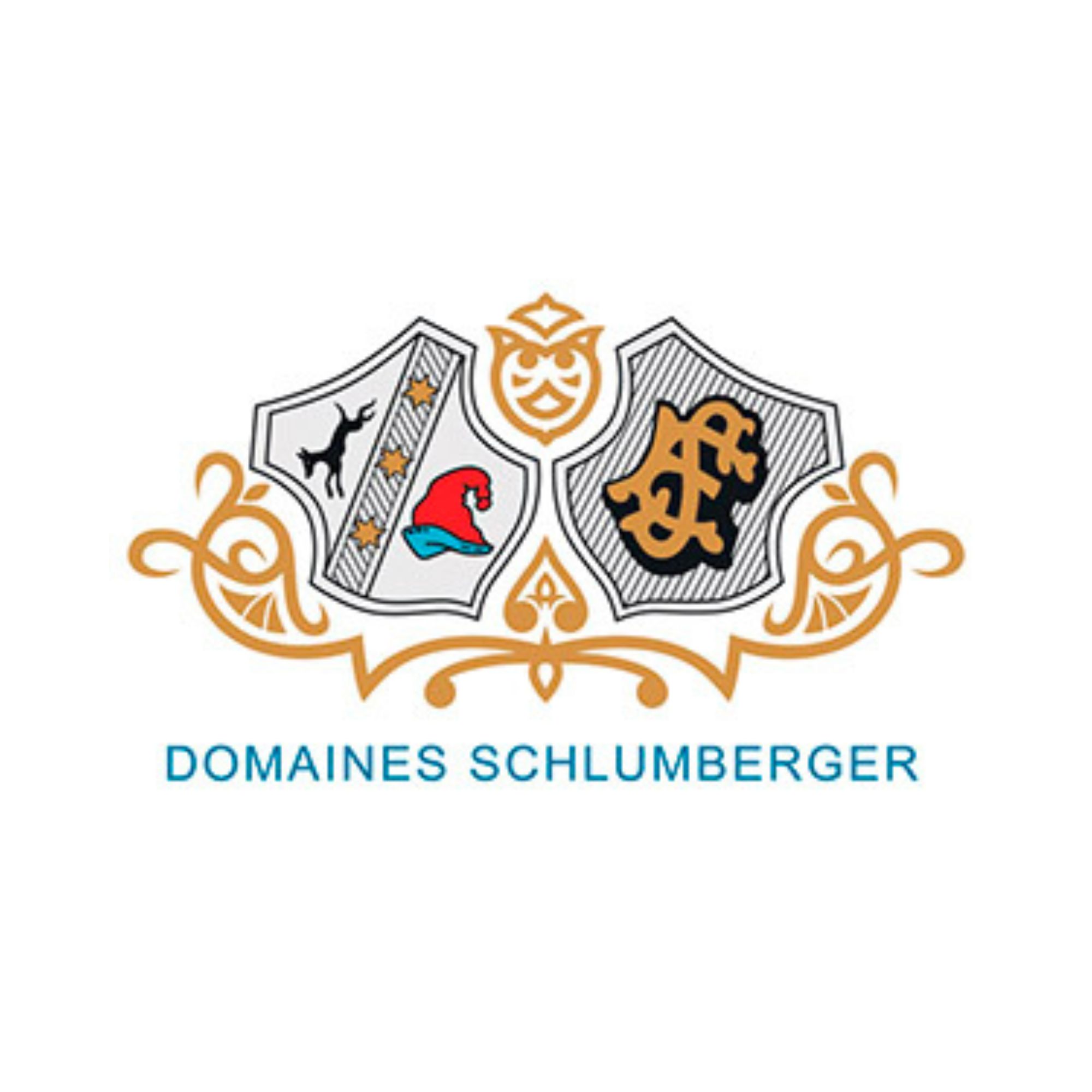 Domaines Schlumberger